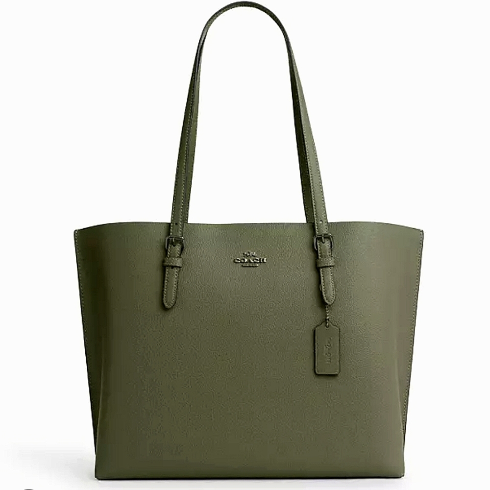 COPY - Coach Leather Mollie Tote